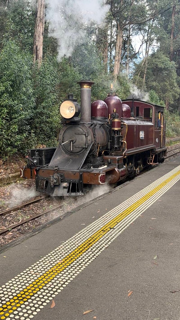 Puffing Billy & Little Penguins: An Unforgettable Private Experience