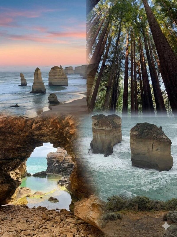 12 APOSTLES (havariler)-OKYANUS-RAINFOREST (yagmur orani)