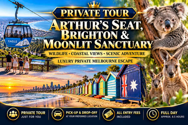 From Wildlife to Coastal Views: Arthur’s Seat, Brighton Boxes & Moonlit Sanctuary Private Tour