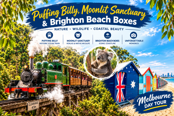 **Puffing Billy, Moonlit Sanctuary & Brighton Boxes: Melbourne’s Ultimate Scenic Escape**