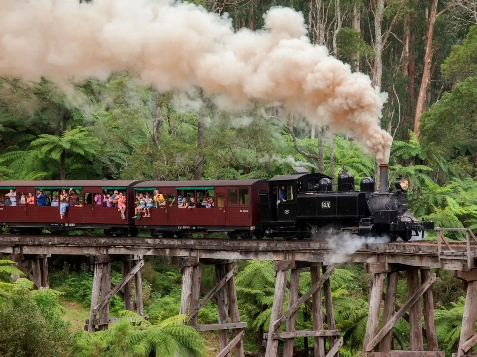 Puffing Billy Train and Wildlife Zoo Private Tour