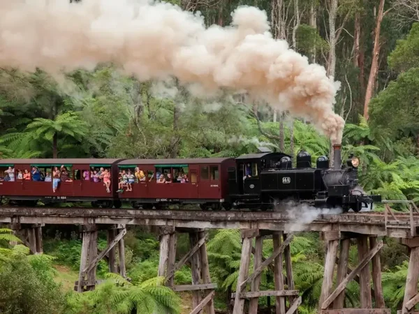 Puffing Billy Train and Wildlife Zoo Private Tour
