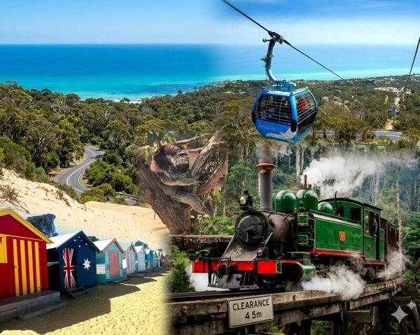 PUFFING BILLY (nostaljik tren)-MOONLIT SANCTUARY(hayvanlar)-TELEFERIK-BRIGHTON BOXES (renkli kutu evler)