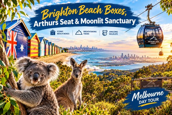 **Brighton Beach Boxes, Arthur’s Seat & Moonlit Sanctuary: Melbourne’s Ultimate Coastal & Wildlife Escape**