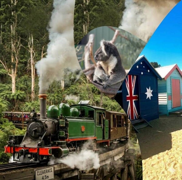 PUFFING BILLY (nostaljik tren)-MOONLIT SANCTUARY (hayvanlar)-BRIGHTON BOXES (renkli kutu evler)