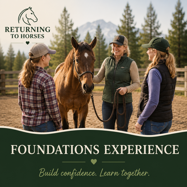Foundation Experience