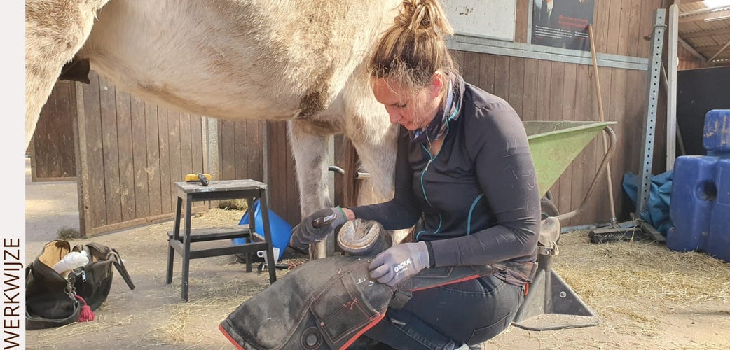 Paard bekappen