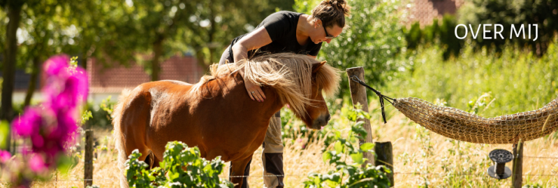 Dissectie op paardenbeen
