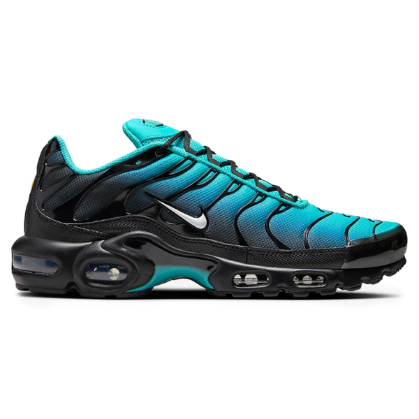 Nike Air Max Plus Light Blue