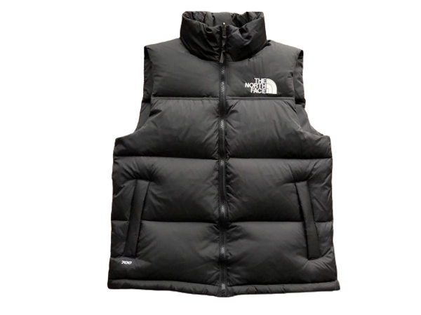 The North Face Vest