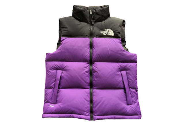 The North Face Vest