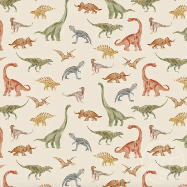 Shirt/Sweater dino's
