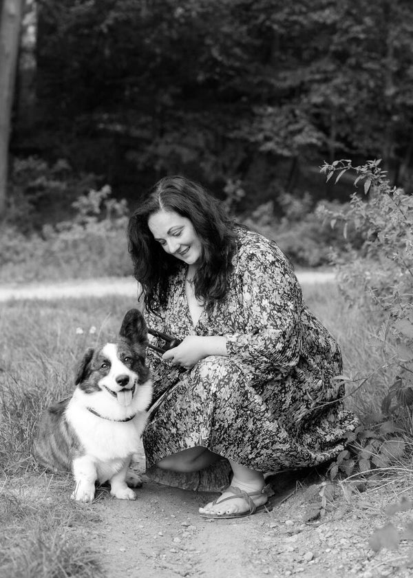 Cursus - Vrijwillige aandacht van je hond