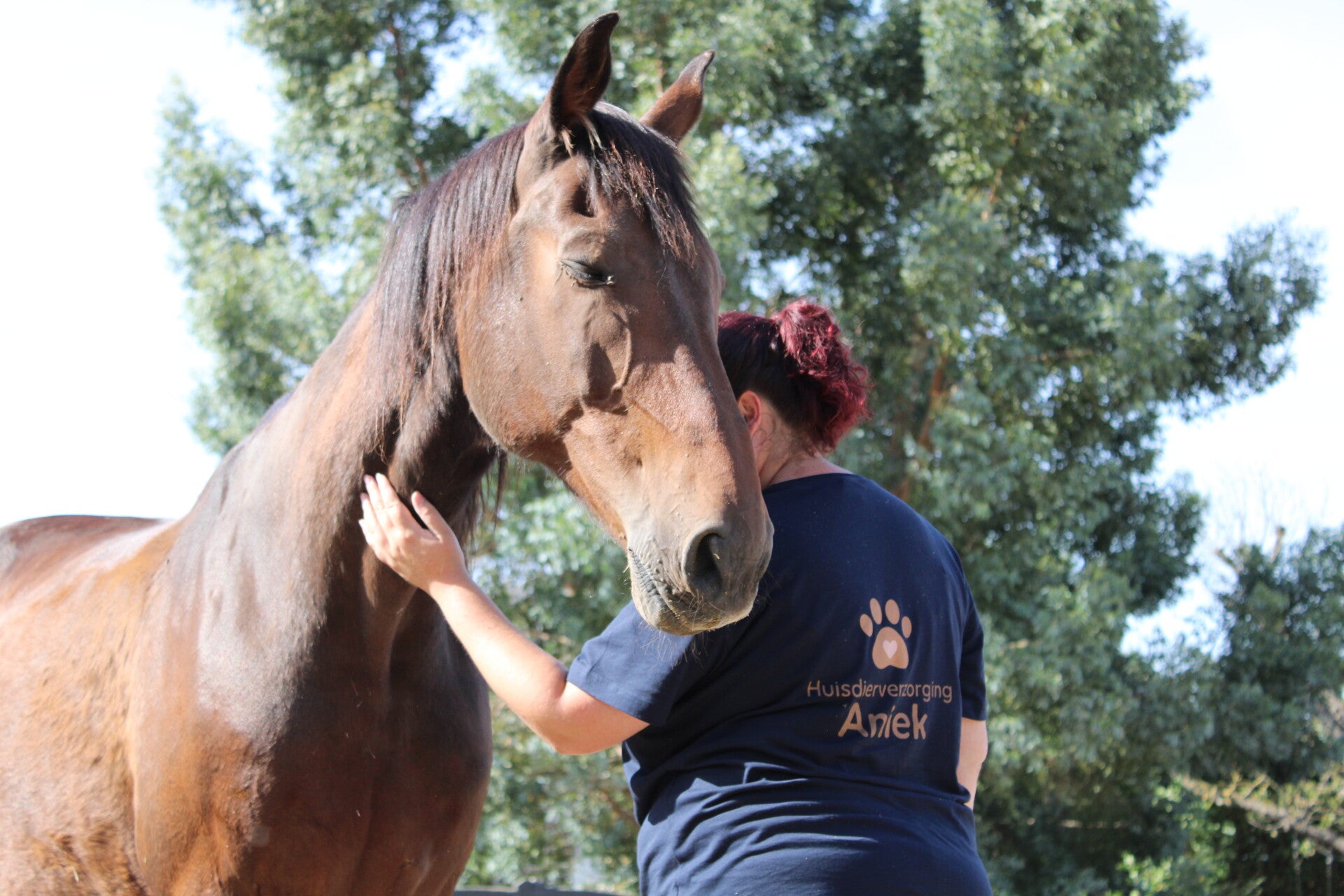 Aniek van Huisdierverzorging Aniek met een paard