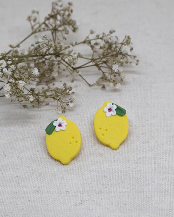 Citroen fiore studs