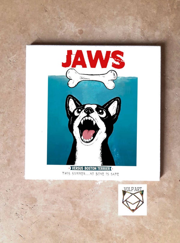 Boston Terrier JAWS  - Carré 1