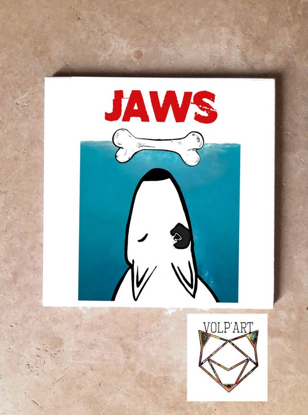 Bull Terrier JAWS / SDB / Bathroom - Carré 1