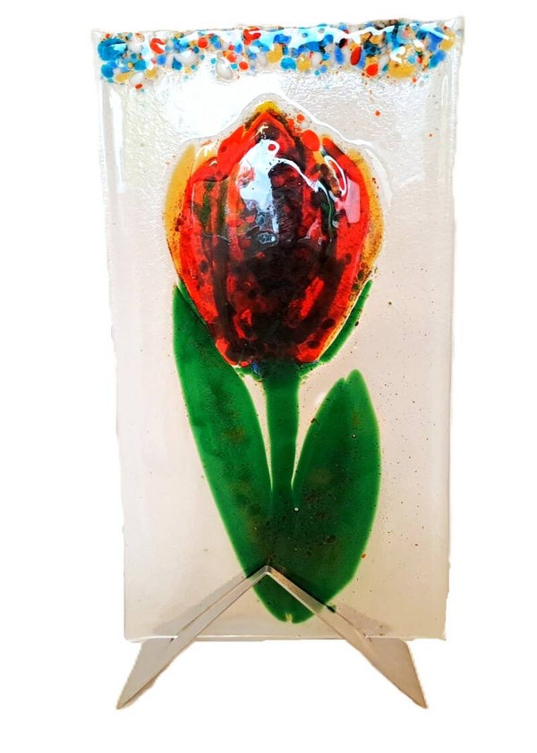 Tulp
