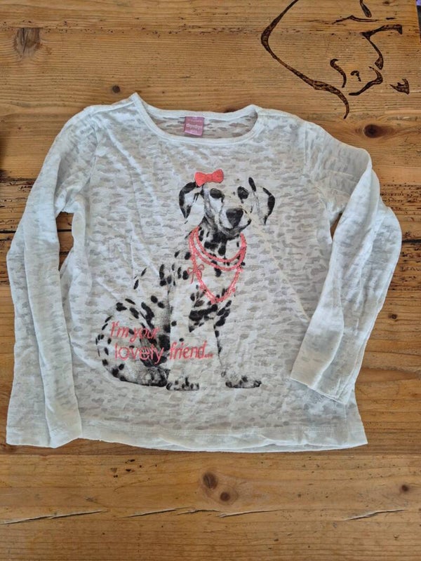 Langarm Shirt gr.: 110