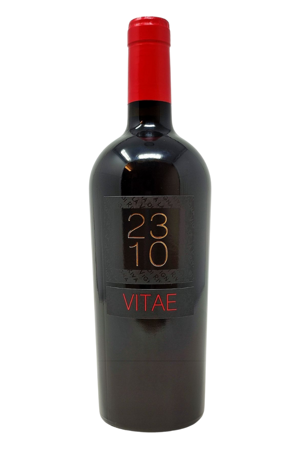 Cason Brusa - 2310 Vitae