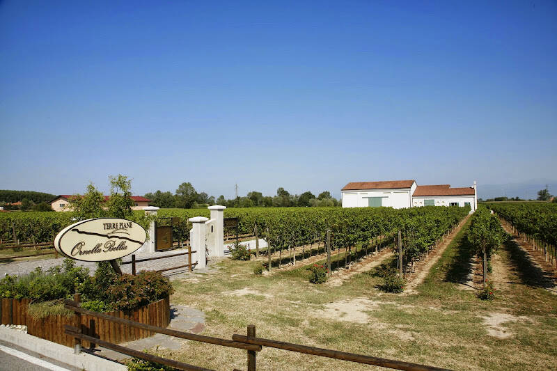 Weingut: Ornella Bellia