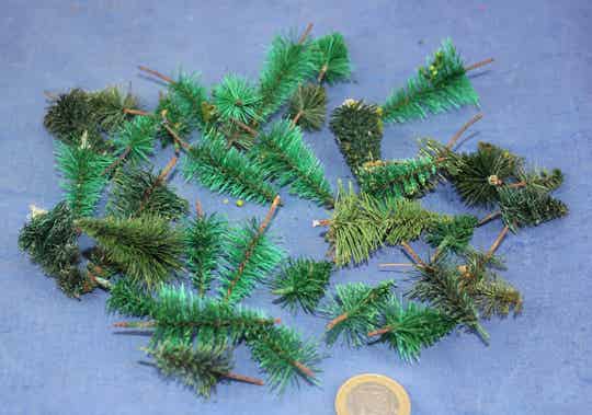 Dertig kleine dennen en sparren.