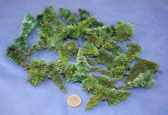 Verzameling dennen/ sparren, 40 stuks.