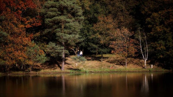 Natuurfoto