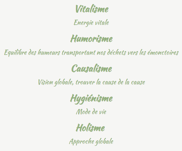 vitalisme, causalisme, hygiéniste, holisme, humorisme : les 5 principes fondamentaux de la naturopathie