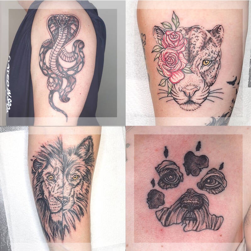 snake/ white tiger/lion and tiger/ dog paw face
