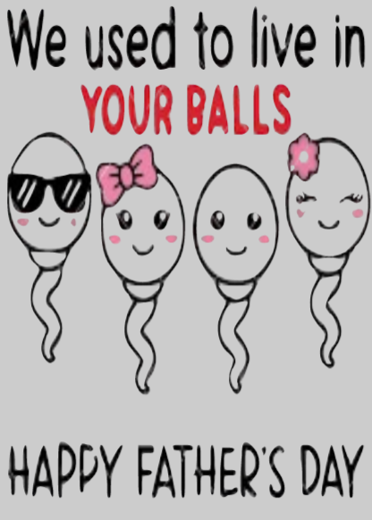 we used to live in your balls canvas