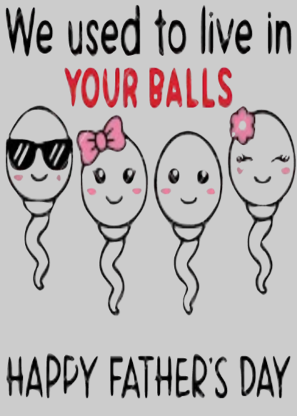 we used to live in your balls canvas