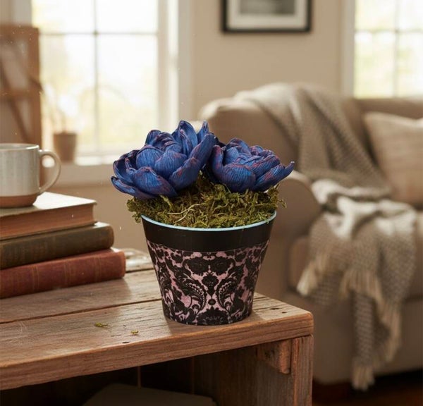 Succulents in Custom Pot