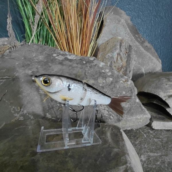 5" Junior Swim Tennessee Shad Bait
