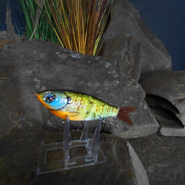 5" Junior Swim Bluegill Bait