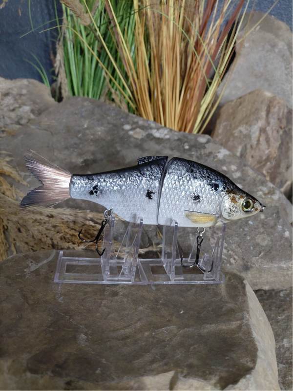 Gizzard Shad Swim Bait 7 In