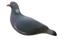 FA-195003 LAST PASS PIGEON DECOYS - 12 PACK