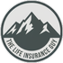 The Life Insurance Guy