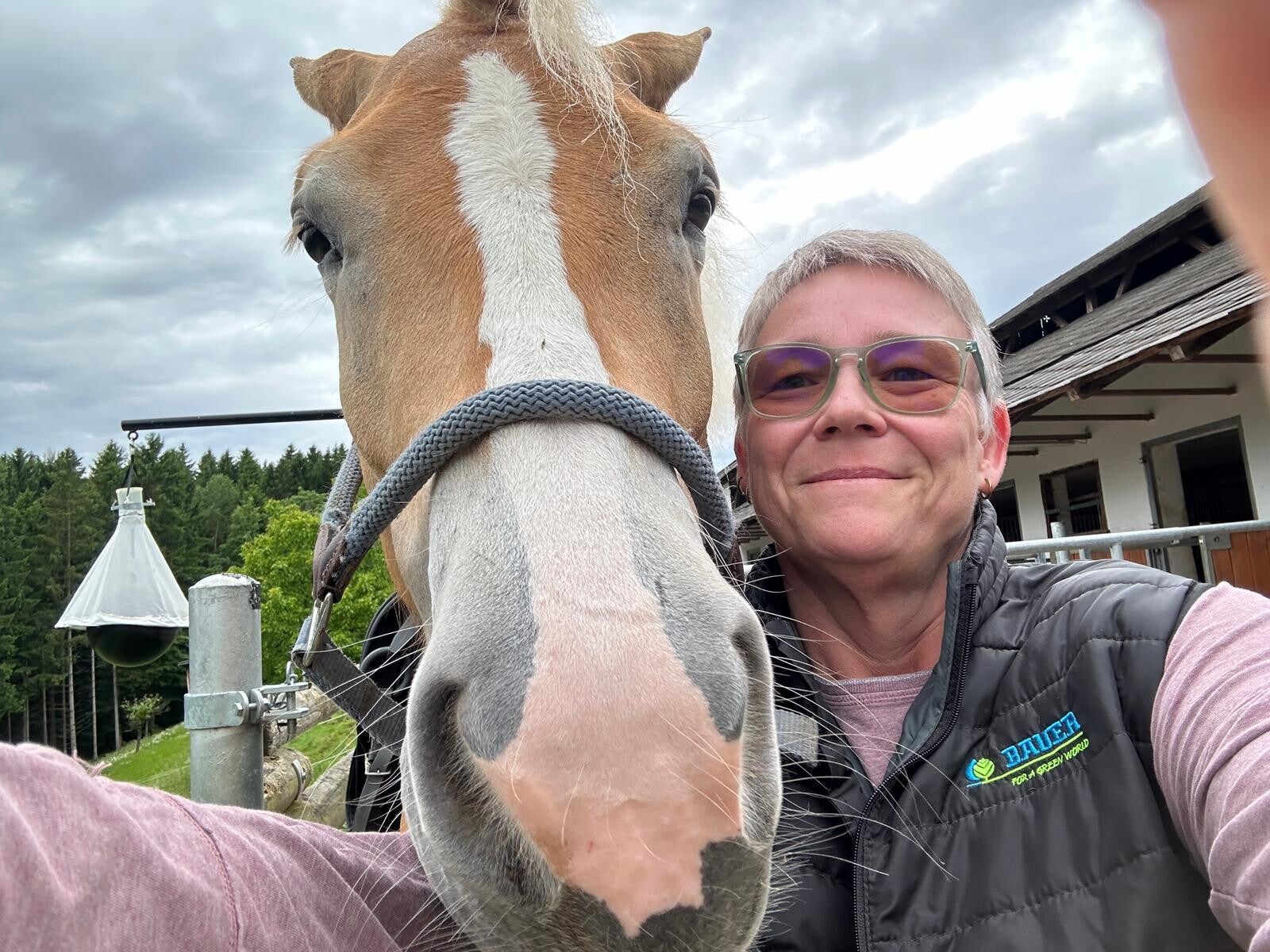 Verhaltenstherapie für Tiere