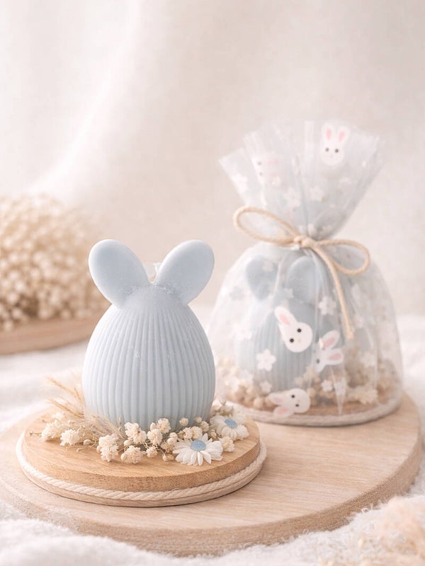 Lapin malin 🐰