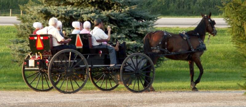 Transport en commun amish 