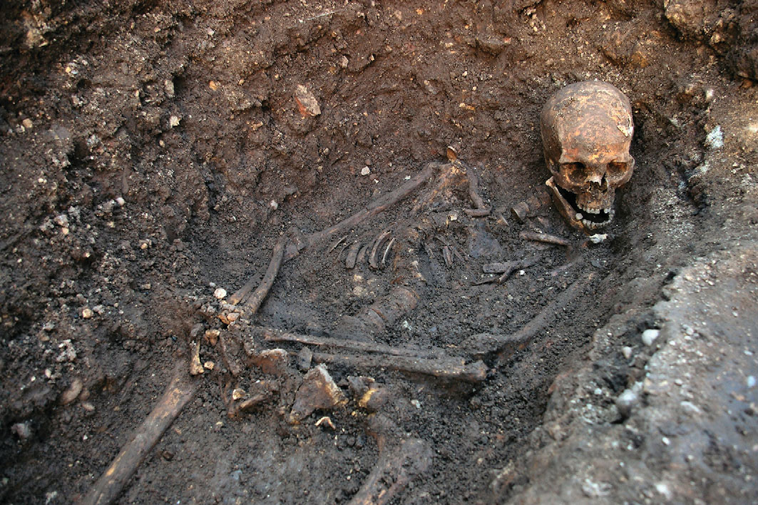 L’ADN identifie Richard III, le dernier des Plantagenêts. / Moyen Âge ...