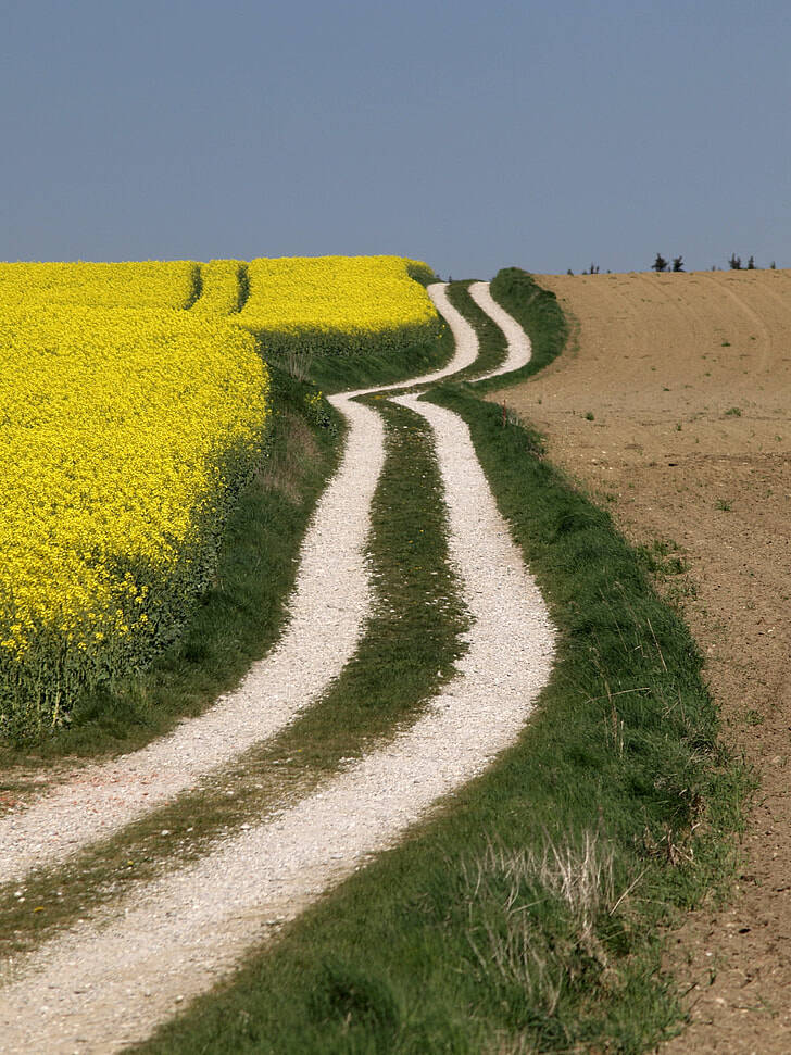 Fresque érotique explicite de Pompéi 