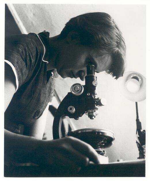 Rosalind Franklin avec un microscope en 1955