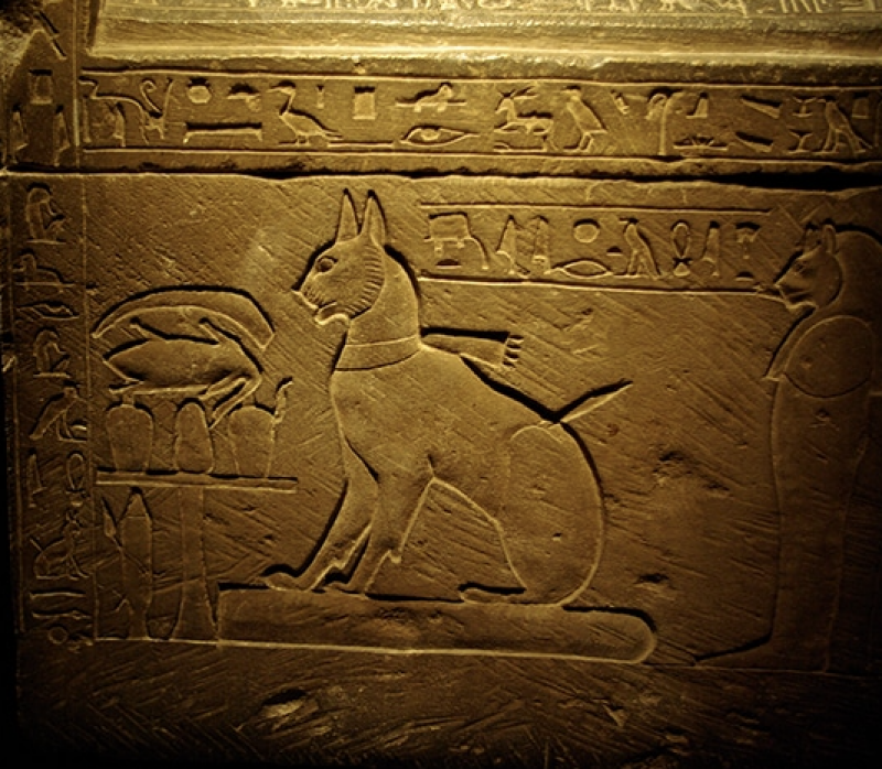 Sarcophage du chat de Thoutmôsis fils aîné du pharaon  Amenhotep III