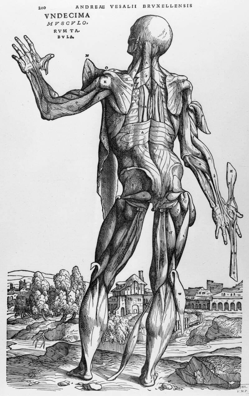 Gravure sur bois de Vecellio Tiziano , dit le Titien,