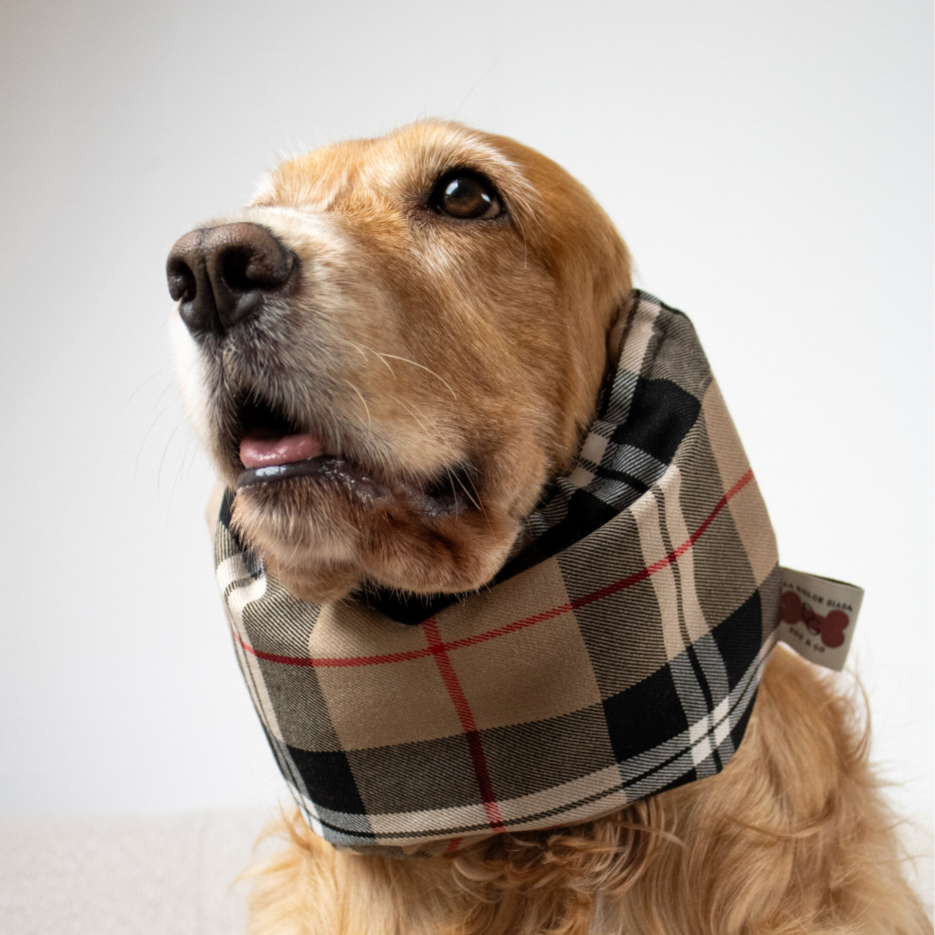 London Is Calling Snood