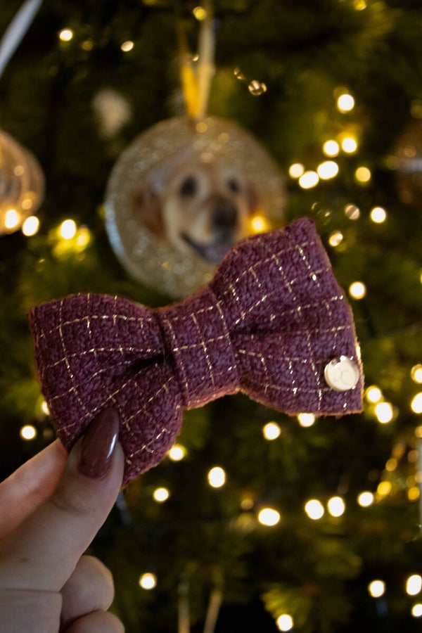 Bowtie Coco Christmas Burgundy