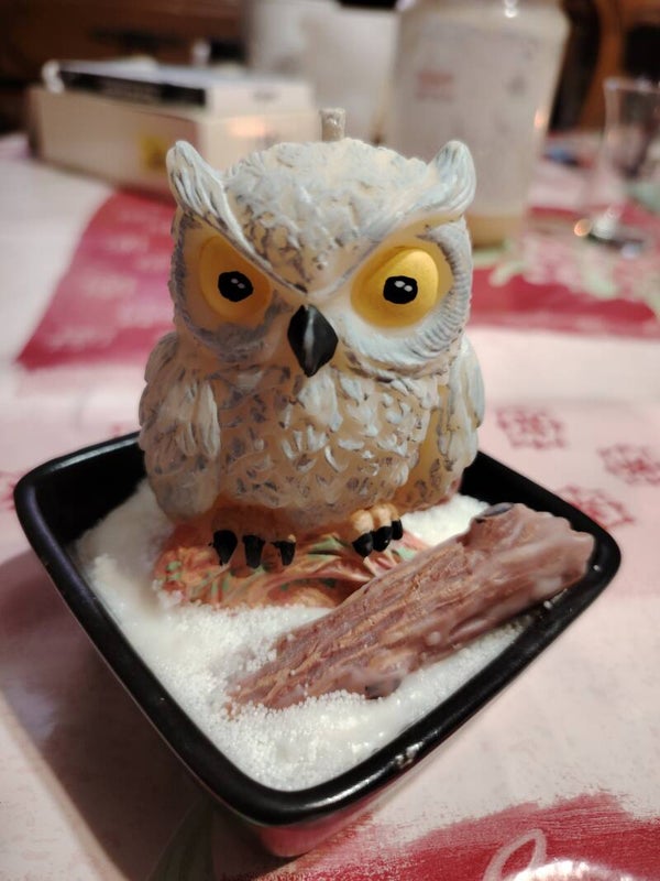 Superbe bougie chouette blanche et grise.