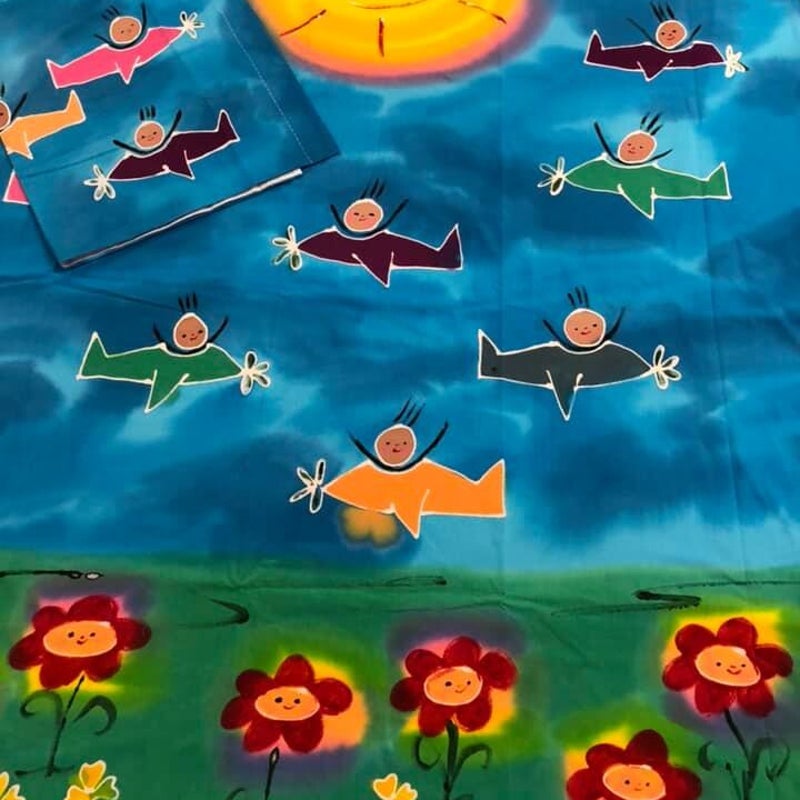 Flugvélar heilmálað